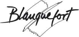 Plateforme participative de la ville de Blanquefort