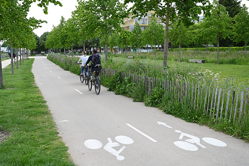 Media picture: Végétaliser certains tronçons de pistes cyclables