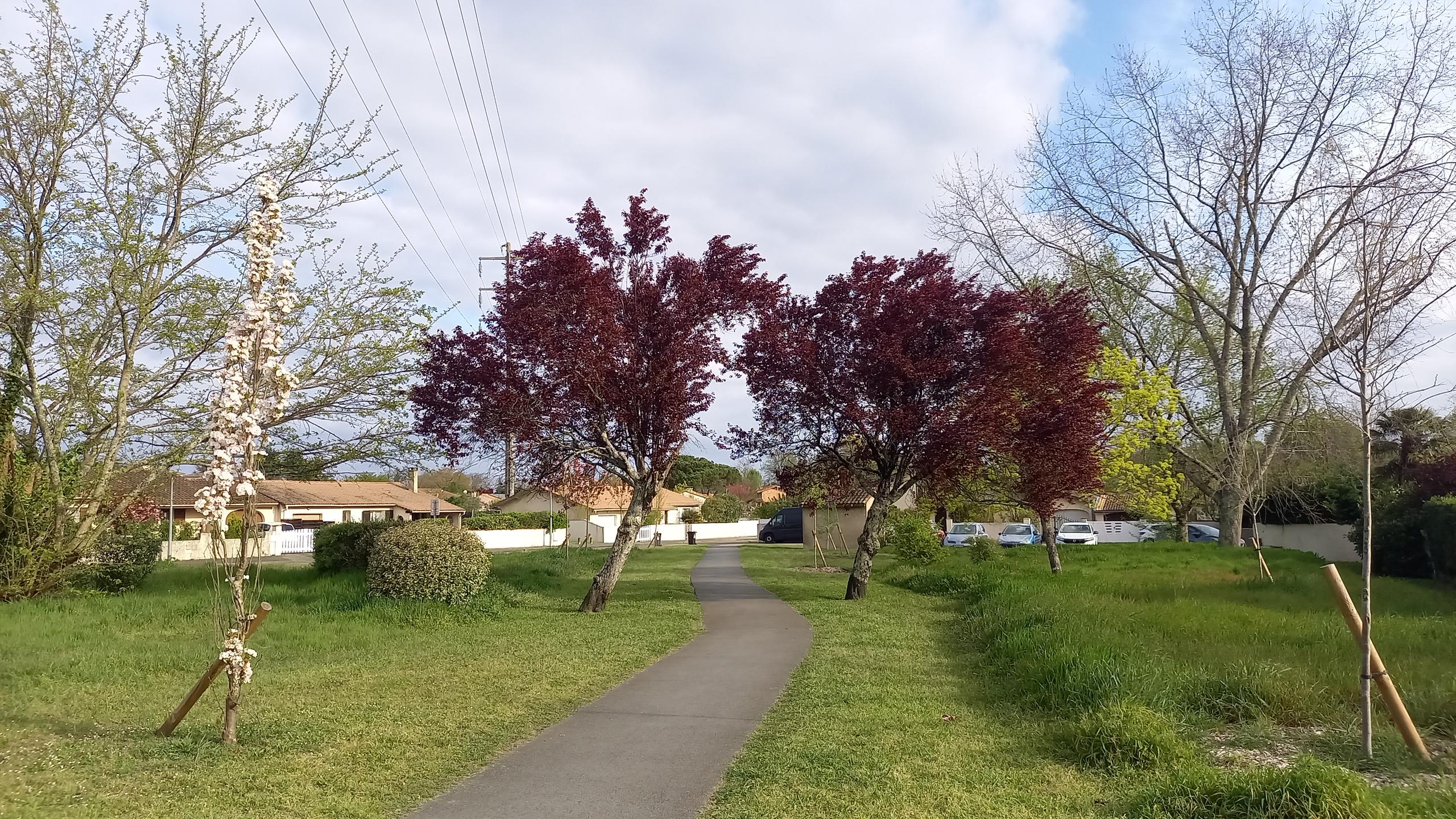 Image média: Les Clairières de Quartier – redonner vie aux espaces perdus