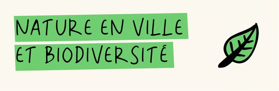 Media picture: Le verger dans la ville