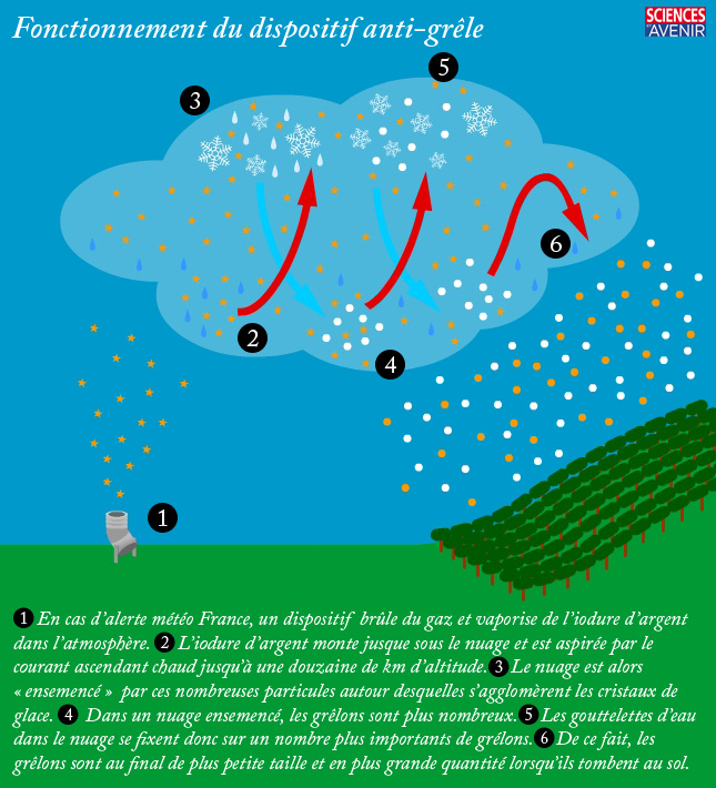 Image média: Dispositif &quot;anti grêle&quot;