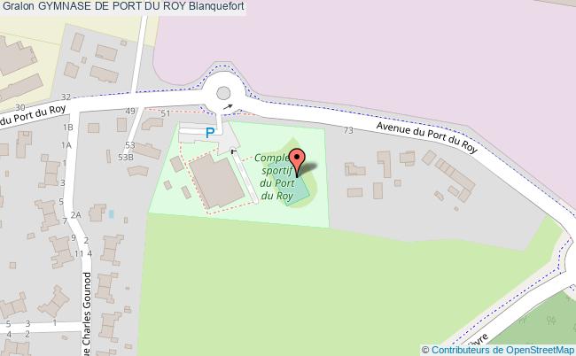 Media picture: Filets de basket et de hand/foot au Port du Roy 