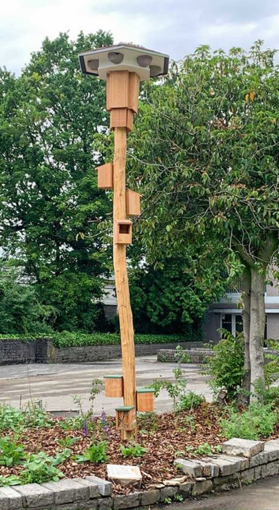 Image média: Nichoirs hirondelles